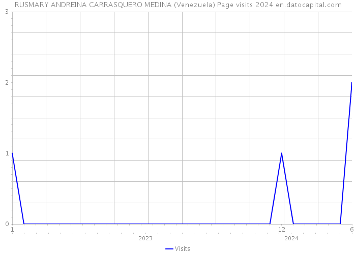 RUSMARY ANDREINA CARRASQUERO MEDINA (Venezuela) Page visits 2024 
