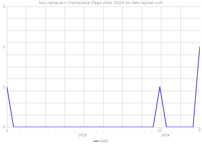 luis camacaro (Venezuela) Page visits 2024 