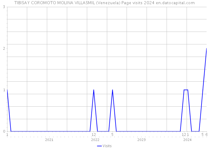 TIBISAY COROMOTO MOLINA VILLASMIL (Venezuela) Page visits 2024 