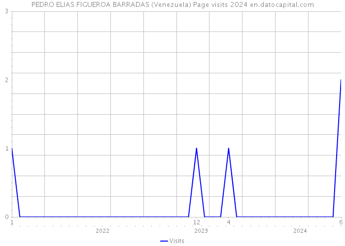 PEDRO ELIAS FIGUEROA BARRADAS (Venezuela) Page visits 2024 