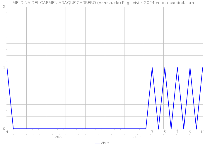 IMELDINA DEL CARMEN ARAQUE CARRERO (Venezuela) Page visits 2024 