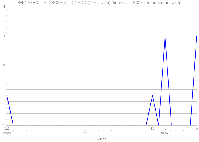 BERNABE VILLALOBOS MALDONADO (Venezuela) Page visits 2024 