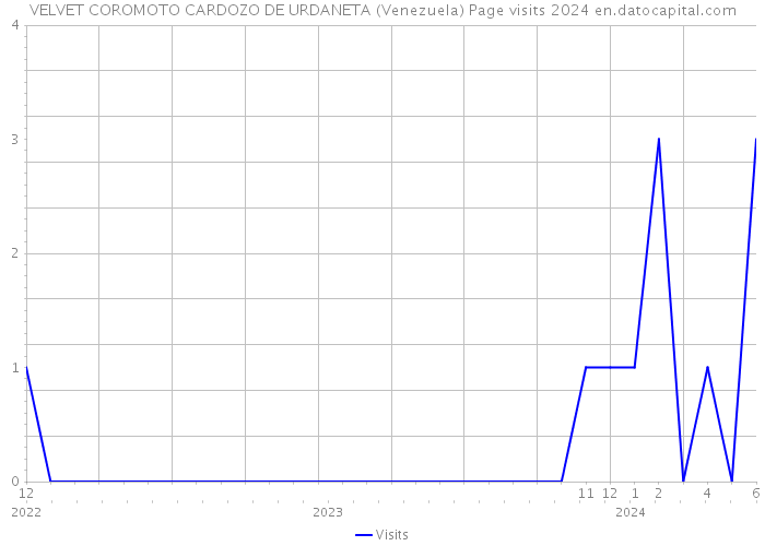 VELVET COROMOTO CARDOZO DE URDANETA (Venezuela) Page visits 2024 