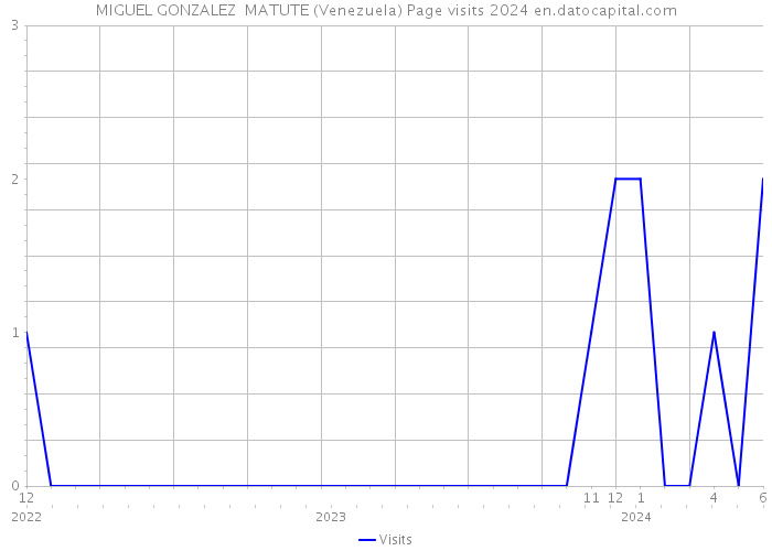 MIGUEL GONZALEZ MATUTE (Venezuela) Page visits 2024 