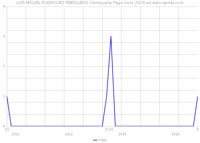 LUIS MIGUEL RODRIGUEZ REBOLLEDO (Venezuela) Page visits 2024 