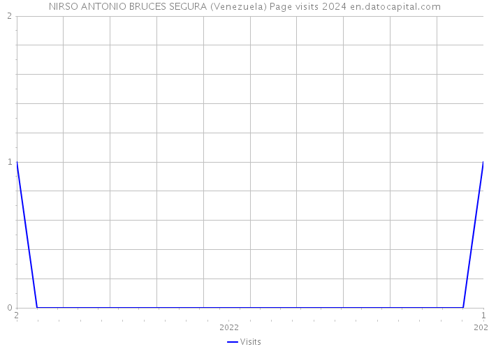 NIRSO ANTONIO BRUCES SEGURA (Venezuela) Page visits 2024 