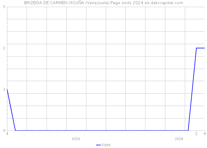 BRIZEIDA DE CARMEN VICUÑA (Venezuela) Page visits 2024 