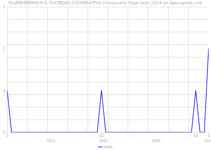 FLUPERSERMIN R.S. SOCIEDAD COOPERATIVA (Venezuela) Page visits 2024 