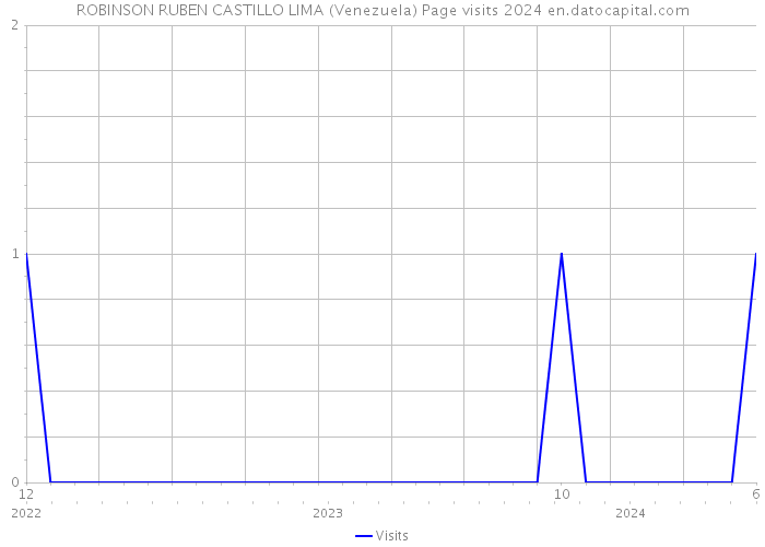 ROBINSON RUBEN CASTILLO LIMA (Venezuela) Page visits 2024 
