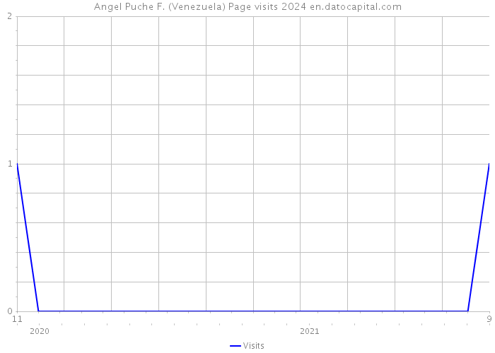 Angel Puche F. (Venezuela) Page visits 2024 