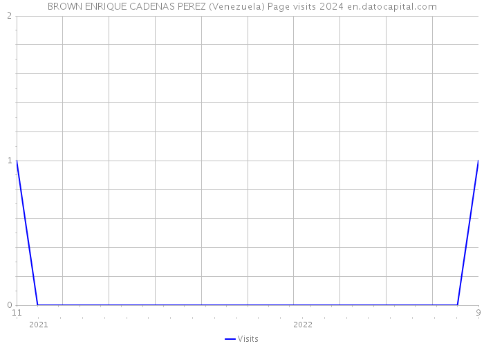 BROWN ENRIQUE CADENAS PEREZ (Venezuela) Page visits 2024 