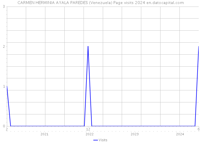 CARMEN HERMINIA AYALA PAREDES (Venezuela) Page visits 2024 