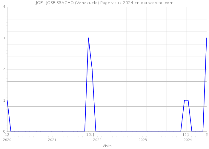 JOEL JOSE BRACHO (Venezuela) Page visits 2024 