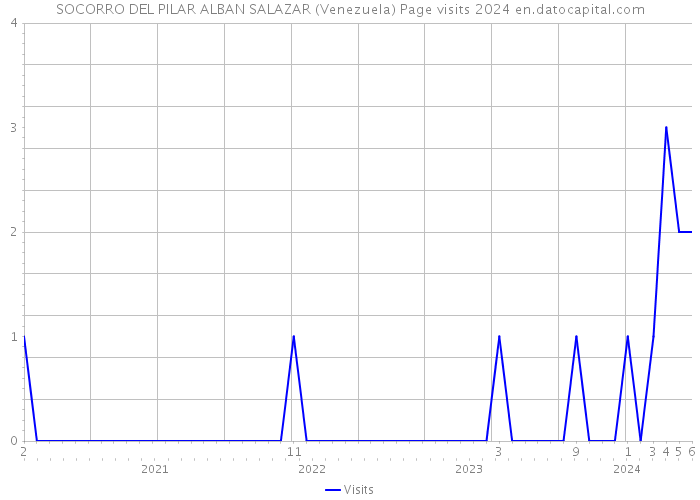 SOCORRO DEL PILAR ALBAN SALAZAR (Venezuela) Page visits 2024 