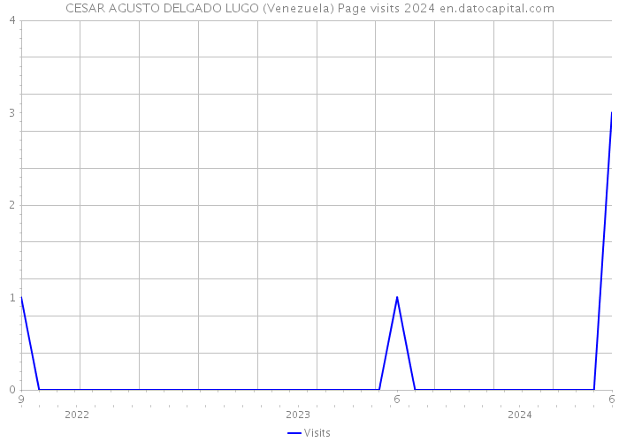 CESAR AGUSTO DELGADO LUGO (Venezuela) Page visits 2024 