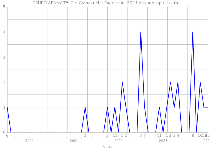 GRUPO APAMATE C.A (Venezuela) Page visits 2024 