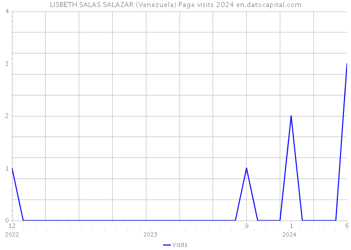 LISBETH SALAS SALAZAR (Venezuela) Page visits 2024 