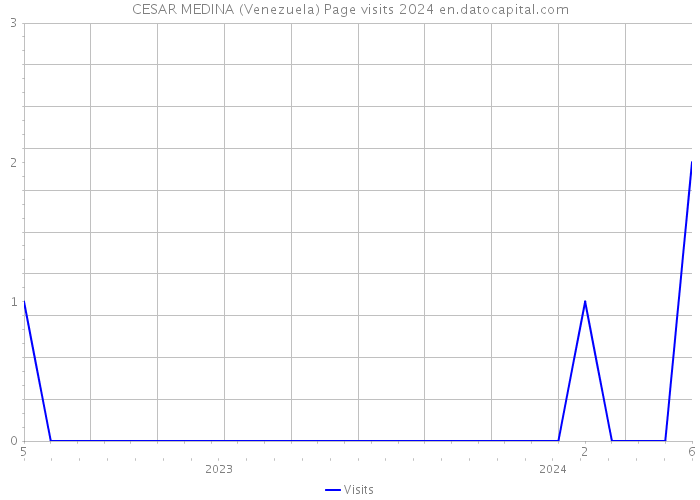 CESAR MEDINA (Venezuela) Page visits 2024 