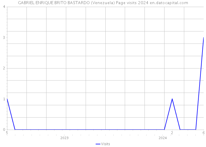 GABRIEL ENRIQUE BRITO BASTARDO (Venezuela) Page visits 2024 