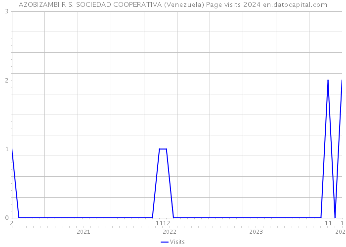AZOBIZAMBI R.S. SOCIEDAD COOPERATIVA (Venezuela) Page visits 2024 