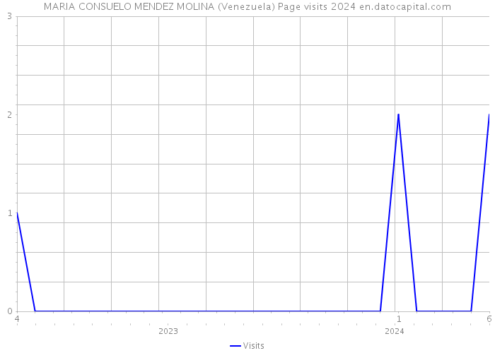 MARIA CONSUELO MENDEZ MOLINA (Venezuela) Page visits 2024 