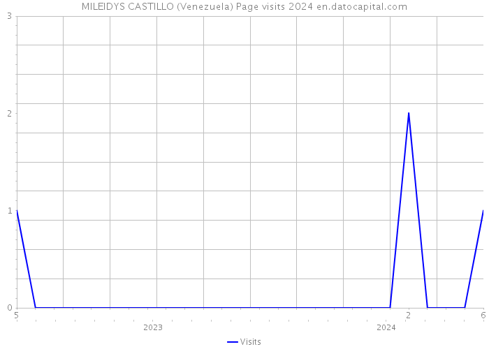 MILEIDYS CASTILLO (Venezuela) Page visits 2024 