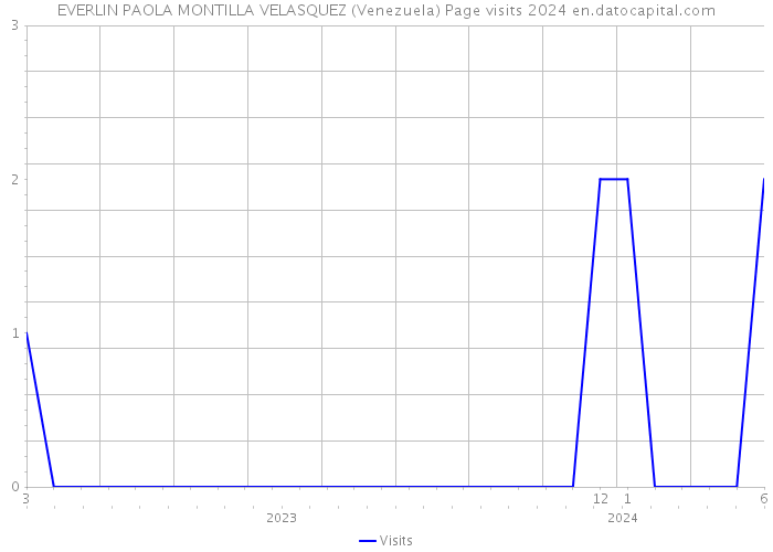 EVERLIN PAOLA MONTILLA VELASQUEZ (Venezuela) Page visits 2024 