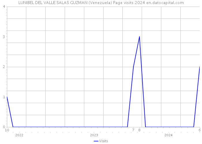 LUNIBEL DEL VALLE SALAS GUZMAN (Venezuela) Page visits 2024 