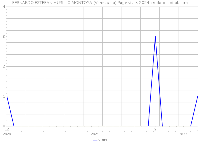 BERNARDO ESTEBAN MURILLO MONTOYA (Venezuela) Page visits 2024 