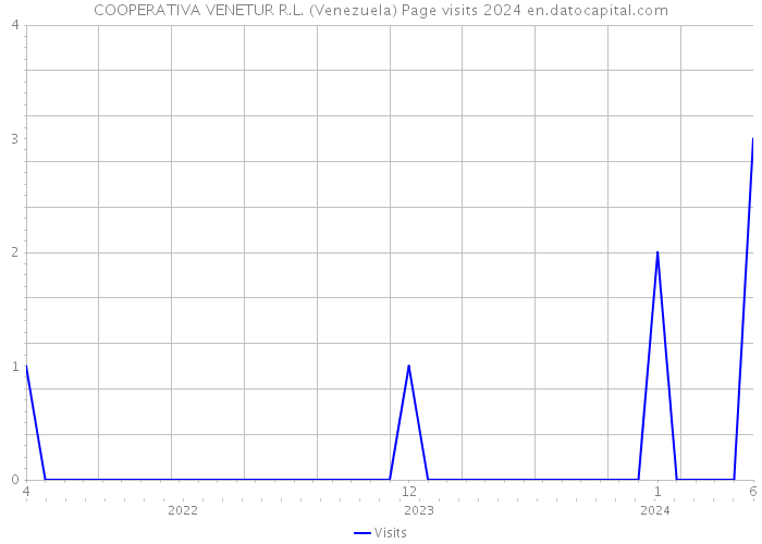COOPERATIVA VENETUR R.L. (Venezuela) Page visits 2024 