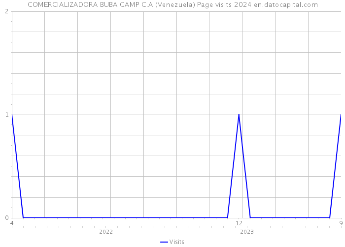 COMERCIALIZADORA BUBA GAMP C.A (Venezuela) Page visits 2024 