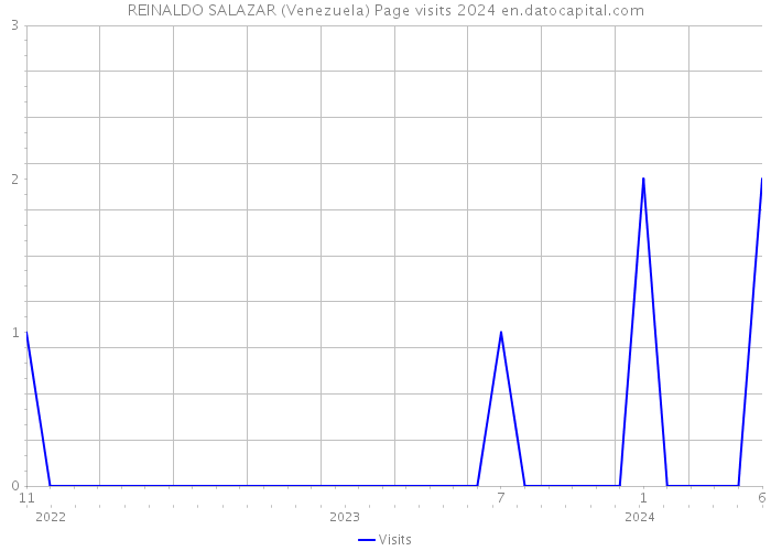 REINALDO SALAZAR (Venezuela) Page visits 2024 