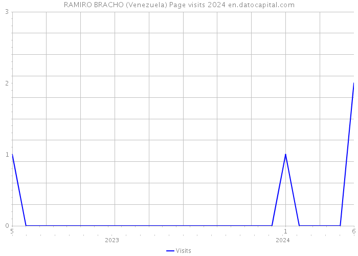 RAMIRO BRACHO (Venezuela) Page visits 2024 