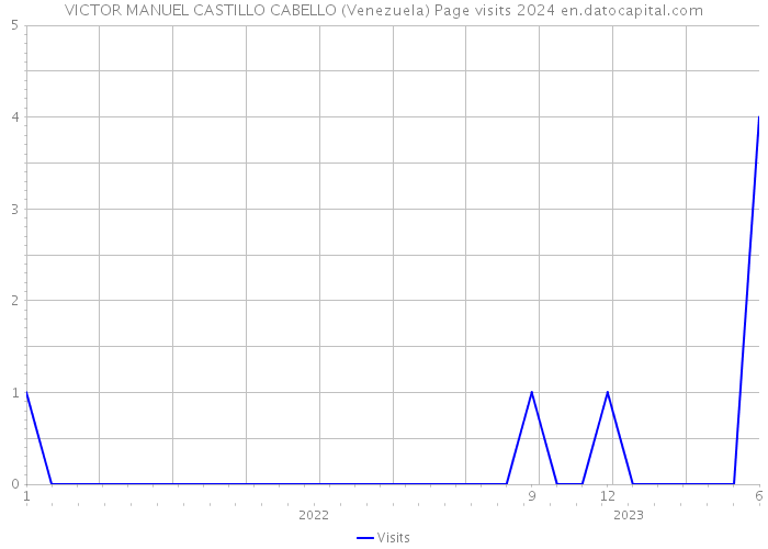 VICTOR MANUEL CASTILLO CABELLO (Venezuela) Page visits 2024 