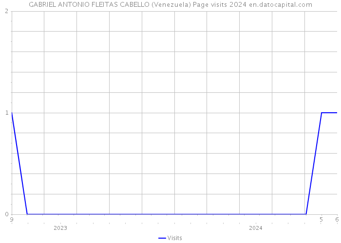GABRIEL ANTONIO FLEITAS CABELLO (Venezuela) Page visits 2024 