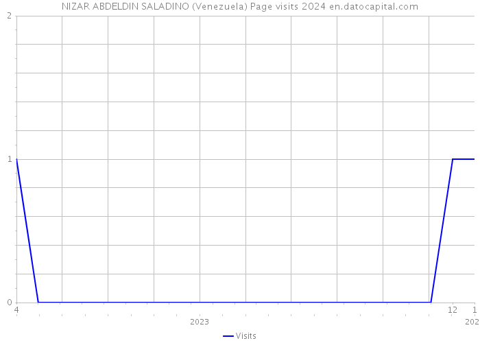 NIZAR ABDELDIN SALADINO (Venezuela) Page visits 2024 