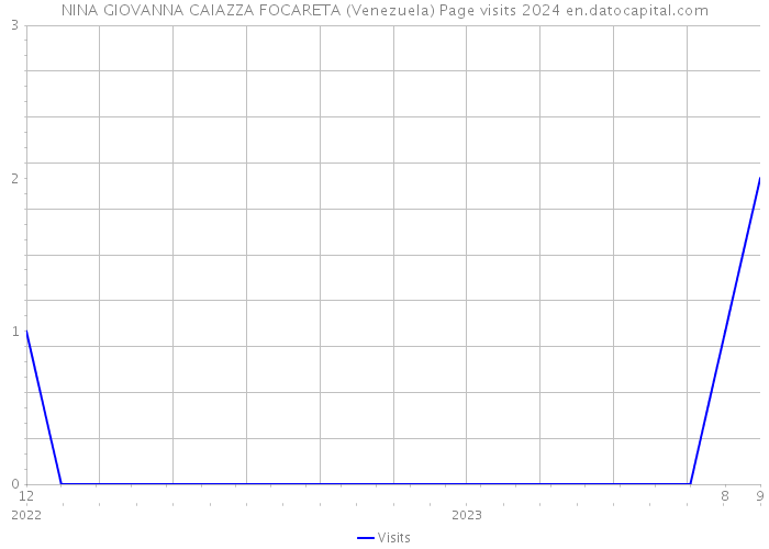 NINA GIOVANNA CAIAZZA FOCARETA (Venezuela) Page visits 2024 