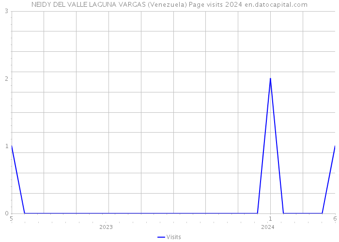 NEIDY DEL VALLE LAGUNA VARGAS (Venezuela) Page visits 2024 