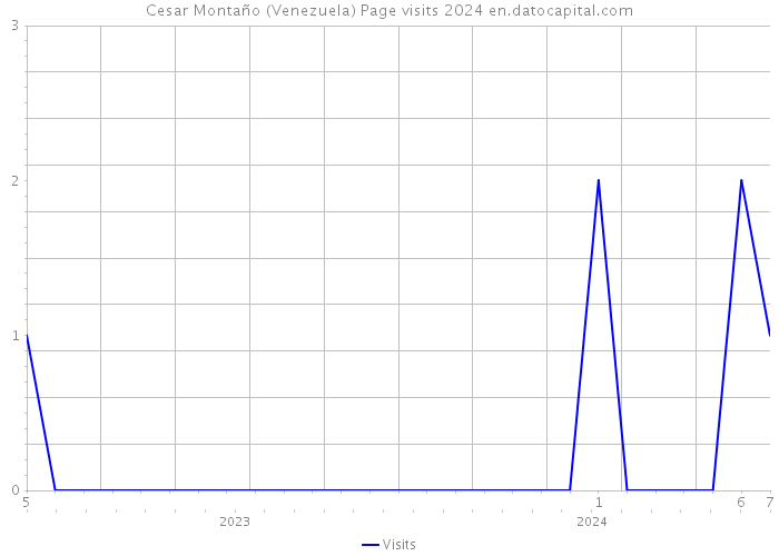 Cesar Montaño (Venezuela) Page visits 2024 
