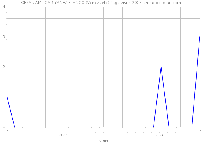 CESAR AMILCAR YANEZ BLANCO (Venezuela) Page visits 2024 