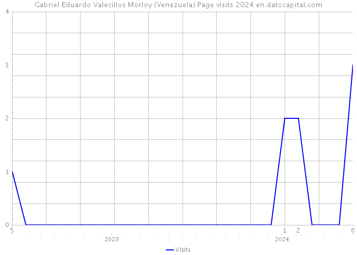 Gabriel Eduardo Valecillos Morloy (Venezuela) Page visits 2024 