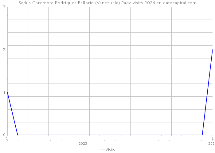 Berkis Coromoto Rodriguez Bellorin (Venezuela) Page visits 2024 