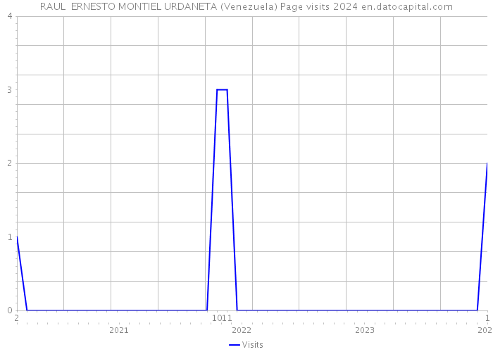 RAUL ERNESTO MONTIEL URDANETA (Venezuela) Page visits 2024 