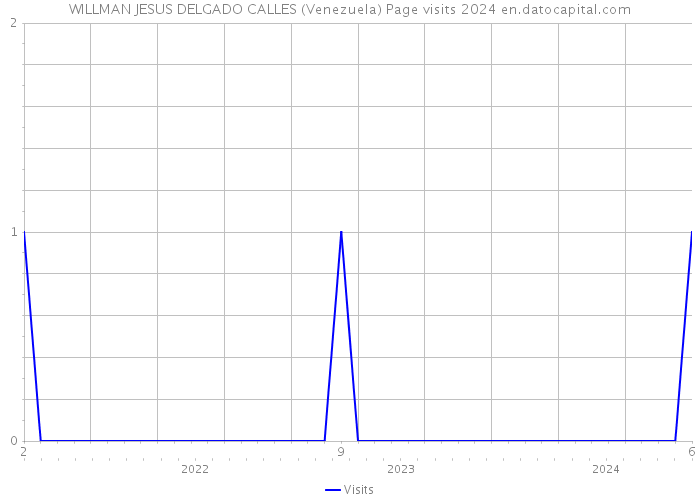 WILLMAN JESUS DELGADO CALLES (Venezuela) Page visits 2024 