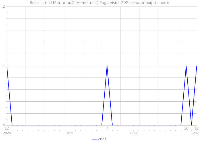 Boris Laniel Montana.G (Venezuela) Page visits 2024 
