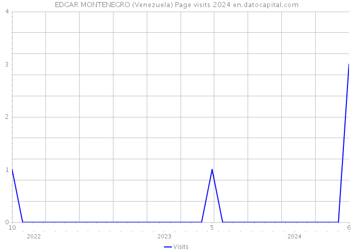 EDGAR MONTENEGRO (Venezuela) Page visits 2024 