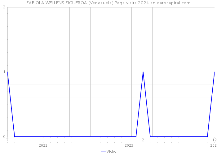 FABIOLA WELLENS FIGUEROA (Venezuela) Page visits 2024 