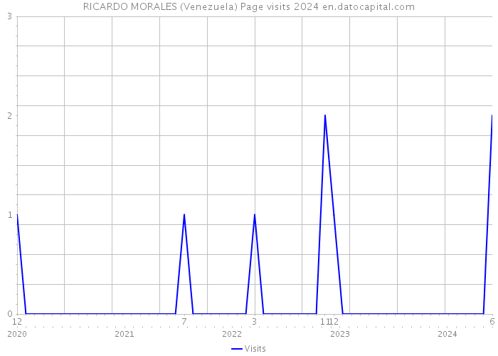 RICARDO MORALES (Venezuela) Page visits 2024 