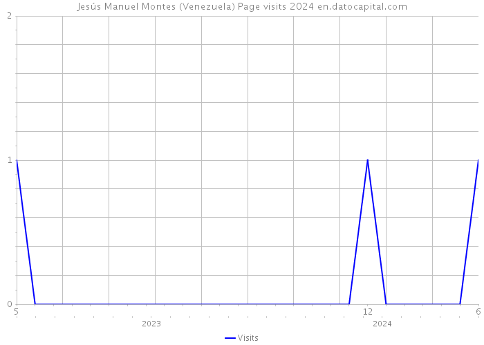 Jesús Manuel Montes (Venezuela) Page visits 2024 