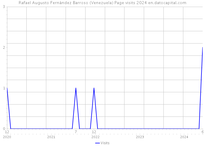 Rafael Augusto Fernández Barroso (Venezuela) Page visits 2024 